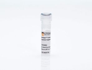 StemSpan™红血系扩增补充（100X）