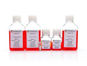 ClonaCell™-HY杂交瘤试剂盒
