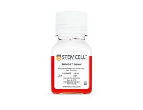 MethoCult™表达