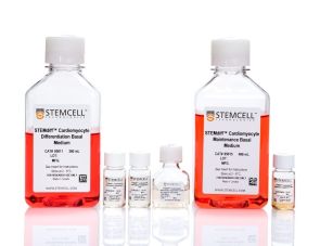 STEMdiff™心室心肌细胞分化试剂盒
