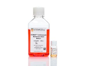 STEMdiff™心肌细胞维护试剂盒