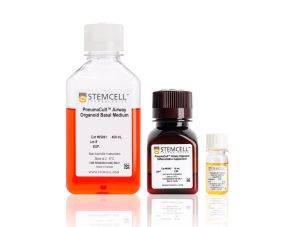 PneumaCult™气道类器官试剂盒