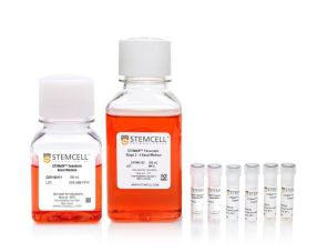 STEMdiff™胰腺祖细胞试剂盒