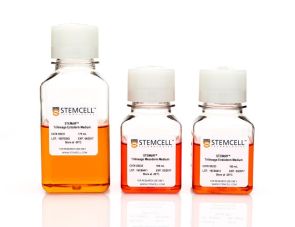 STEMdiff™三细胞分化试剂盒