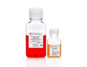 MesenCult™ 成骨细胞分化试剂盒 (人)