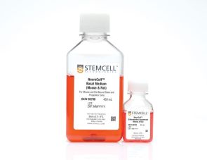 NeuroCult™分化试剂盒（小鼠和大鼠）