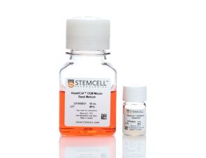 hepatcult™类器官生长培养基（小鼠）