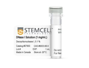 DNase I溶液（1mg /mL）
