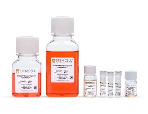 STEMdiff™ 脑类器官试剂盒