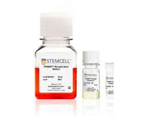 STEMdiff™小胶质细胞分化试剂盒