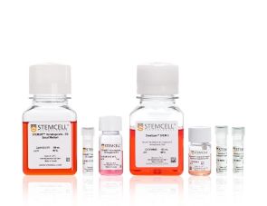 STEMdiff™ NK 细胞分化试剂盒