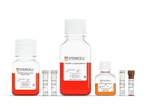 STEMdiff™带分支结构的肺类器官试剂盒