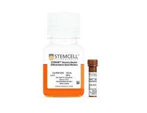 STEMdiff™ 感觉神经元分化试剂盒