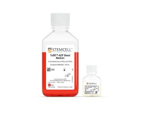 翻译:TeSR™-AOF