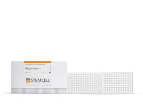 HTS Transwell®-96,0.4µm孔隙聚酯膜插入件