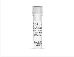 重组SARS-CoV-2核衣壳蛋白aa1-419（大肠杆菌表达）