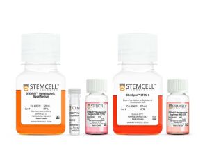 STEMdiff™巨核细胞检测试剂盒