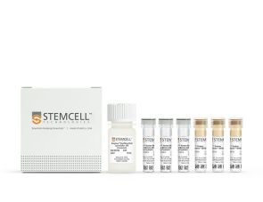 EasySep™人全血和骨髓CD138 正选试剂盒II