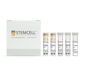 EasySep™小鼠CD19阳性选择试剂盒II