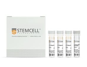 EasySep™人CD8+ T细胞富集试剂盒
