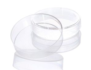 Corning® 60 mm 带网格培养皿