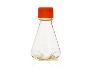 Corning®一次性锥形瓶，250 mL