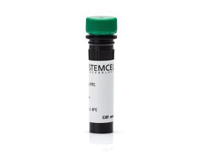 抗人CD40抗体，克隆5C3