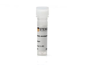 Anti-SHIP Antibody(多克隆