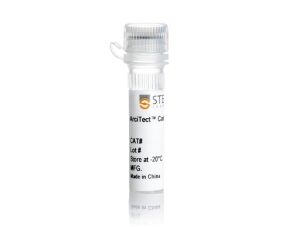 architect™Cas9核酸酶
