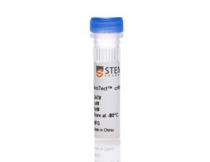 ArciTect™crRNA