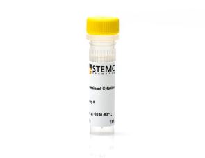 人重组IL-1 β