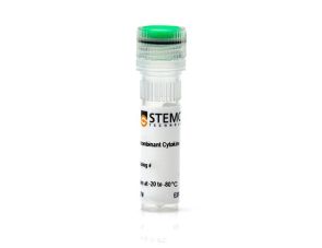 小鼠重组IL-1 β