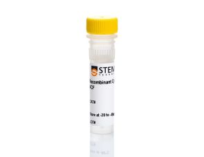 人重组IL-1 β， ACF