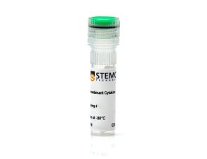 重组小鼠GM-CSF （CHO细胞表达）