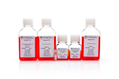 ClonaCell™-HY Hybridoma Kit