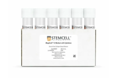 MegaCult™-C Medium with Cytokines