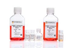 STEMdiff™ Ventricular Cardiomyocyte Differentiation Kit