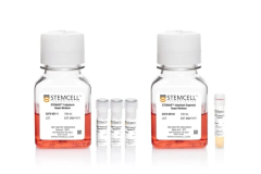 STEMdiff™ Intestinal Organoid Kit