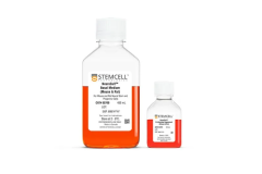 NeuroCult™ Proliferation Kit (Mouse & Rat)