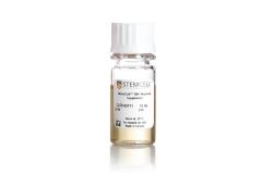NeuroCult™ SM1 Neuronal Supplement
