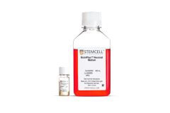 BrainPhys™ Neuronal Medium and SM1 Kit