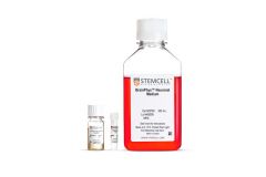 BrainPhys™ Neuronal Medium N2-A & SM1 Kit