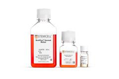 BrainPhys™ Primary Neuron Kit