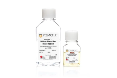 mTeSR™1 Without Phenol Red