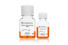 IntestiCult™ Organoid Growth Medium (Human)