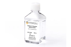 Dulbecco's Phosphate Buffered Saline with 2% Fetal Bovine Serum