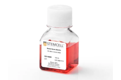 10% Bovine Serum Albumin in Iscove's MDM