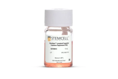 StemSpan™ Lymphoid Progenitor Expansion Supplement (10X)