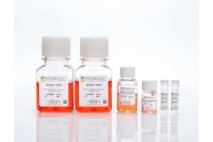 StemSpan™ T Cell Generation Kit