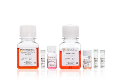 STEMdiff™ NK Cell Kit